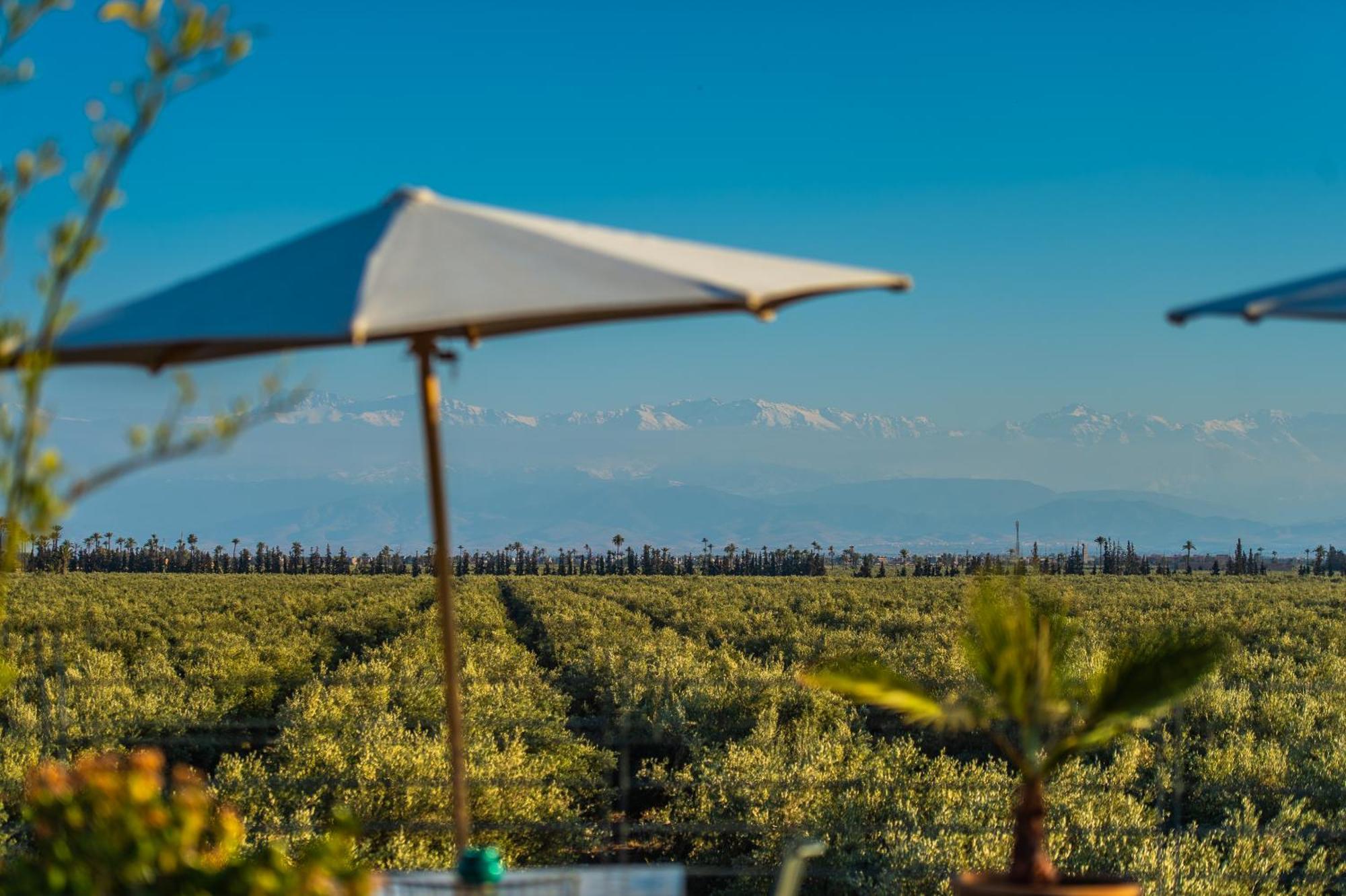 Riad Bab Ahmar Marrakesh Bagian luar foto